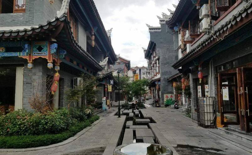 一旦在胃里滋生，就可能引发多种疾病，甚至致癌
